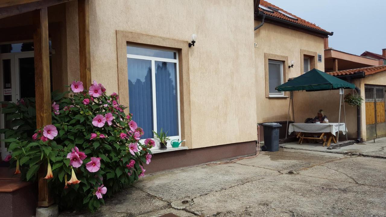Csoka Panzio Bed & Breakfast Zalaegerszeg Exterior photo