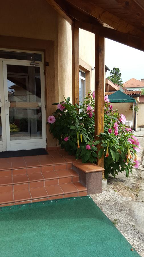 Csoka Panzio Bed & Breakfast Zalaegerszeg Exterior photo
